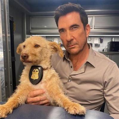 Steve Mcdermott Biography, Age, Height, Wife, Net Worth, Family